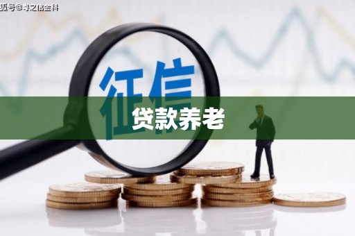涟水贷款养老