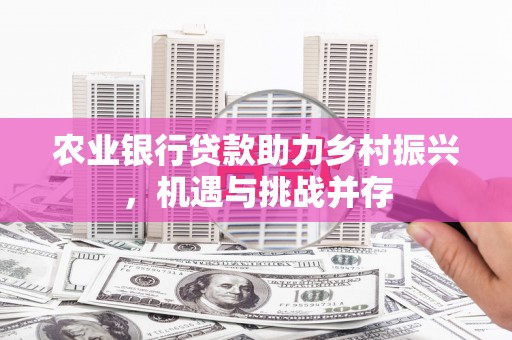 涟水农业银行贷款助力乡村振兴，机遇与挑战并存