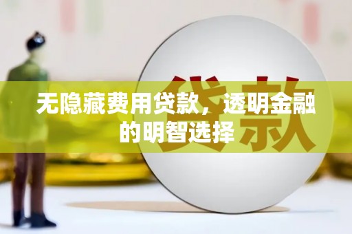 涟水无隐藏费用贷款，透明金融的明智选择