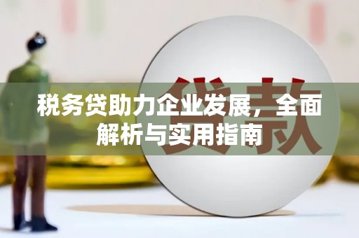 涟水税务贷助力企业发展，全面解析与实用指南