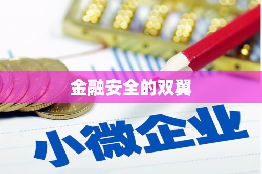 涟水金融安全的双翼