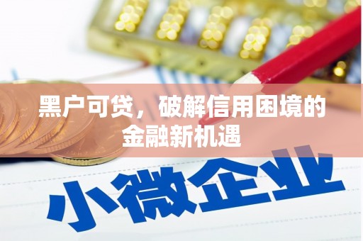 涟水黑户可贷，破解信用困境的金融新机遇