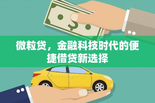 涟水微粒贷，金融科技时代的便捷借贷新选择