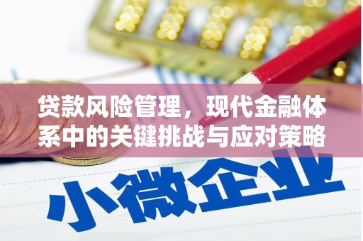 涟水贷款风险管理，现代金融体系中的关键挑战与应对策略