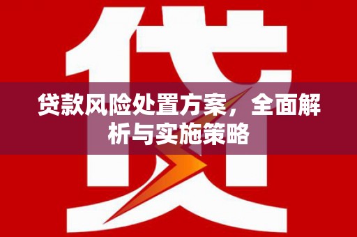 涟水贷款风险处置方案，全面解析与实施策略